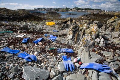 Rubbish along shore