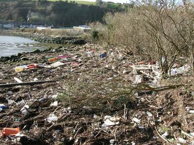 Rubbish along shore